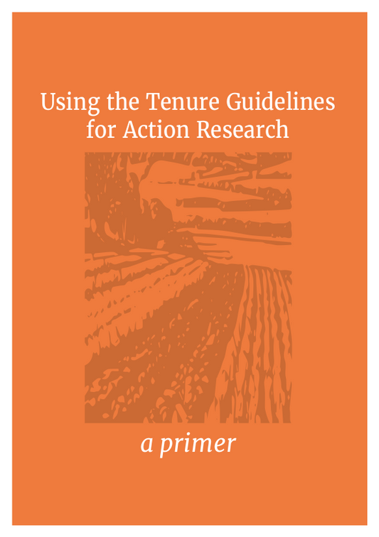 Using the Tenure Guidelines for Action Research