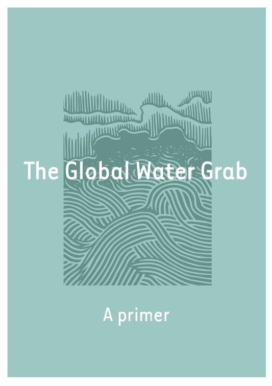 The Global Water Grab: A Primer